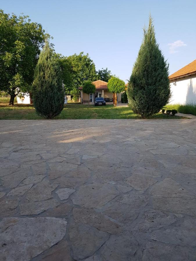 CortanovciVikendica Lesic别墅 外观 照片